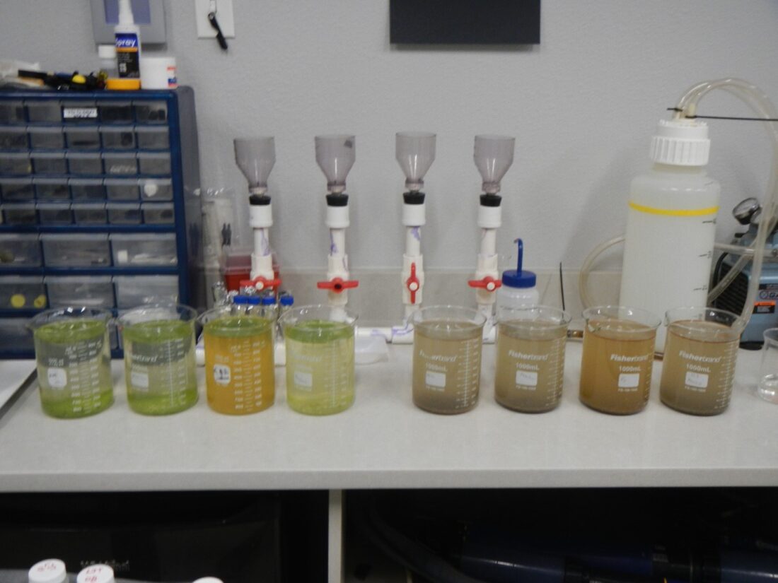 SCCF Marine Lab conducting tests for treating algae - SANIBEL-CAPTIVA ...